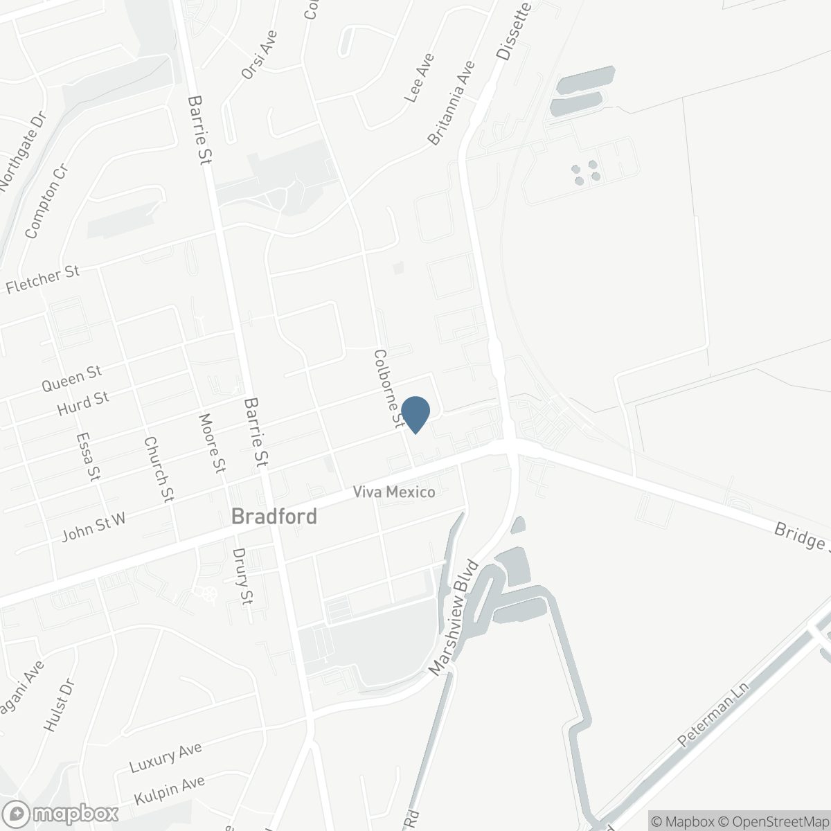 131 JOHN STREET E, Bradford West Gwillimbury, Ontario L3Z 1G3